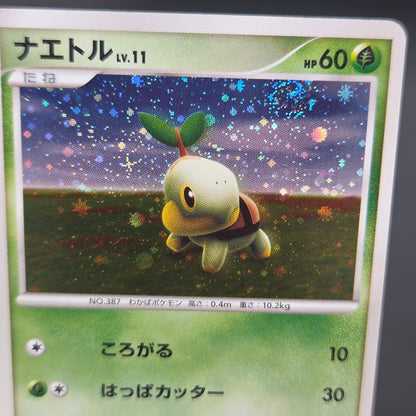 Turtwig 072/DP-P Beginner's Classroom Holo Promo Card