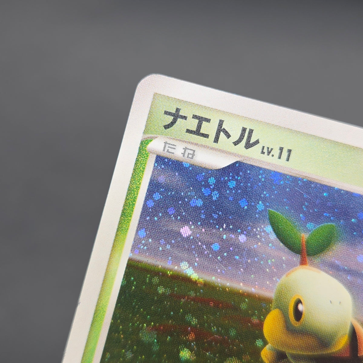 Turtwig 072/DP-P Beginner's Classroom Holo Promo Card