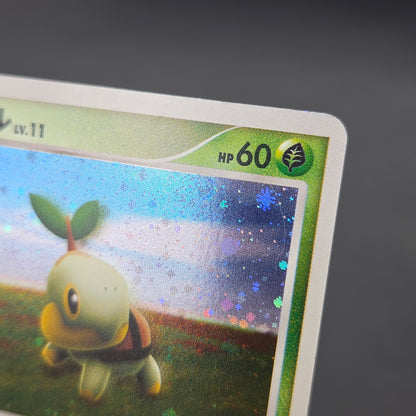 Turtwig 072/DP-P Beginner's Classroom Holo Promo Card