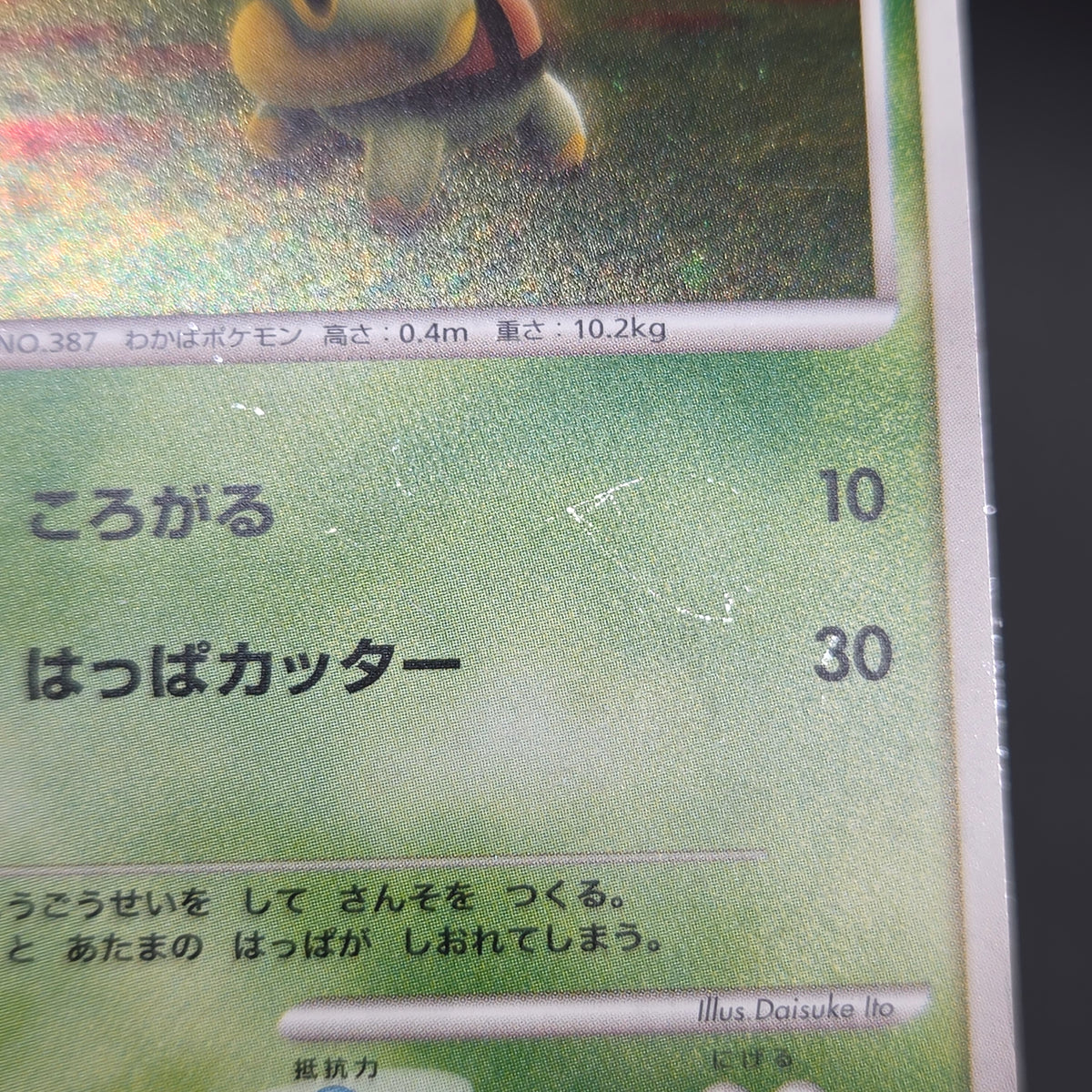 Turtwig 072/DP-P Beginner's Classroom Holo Promo Card