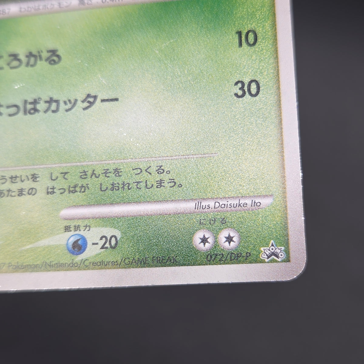 Turtwig 072/DP-P Beginner's Classroom Holo Promo Card