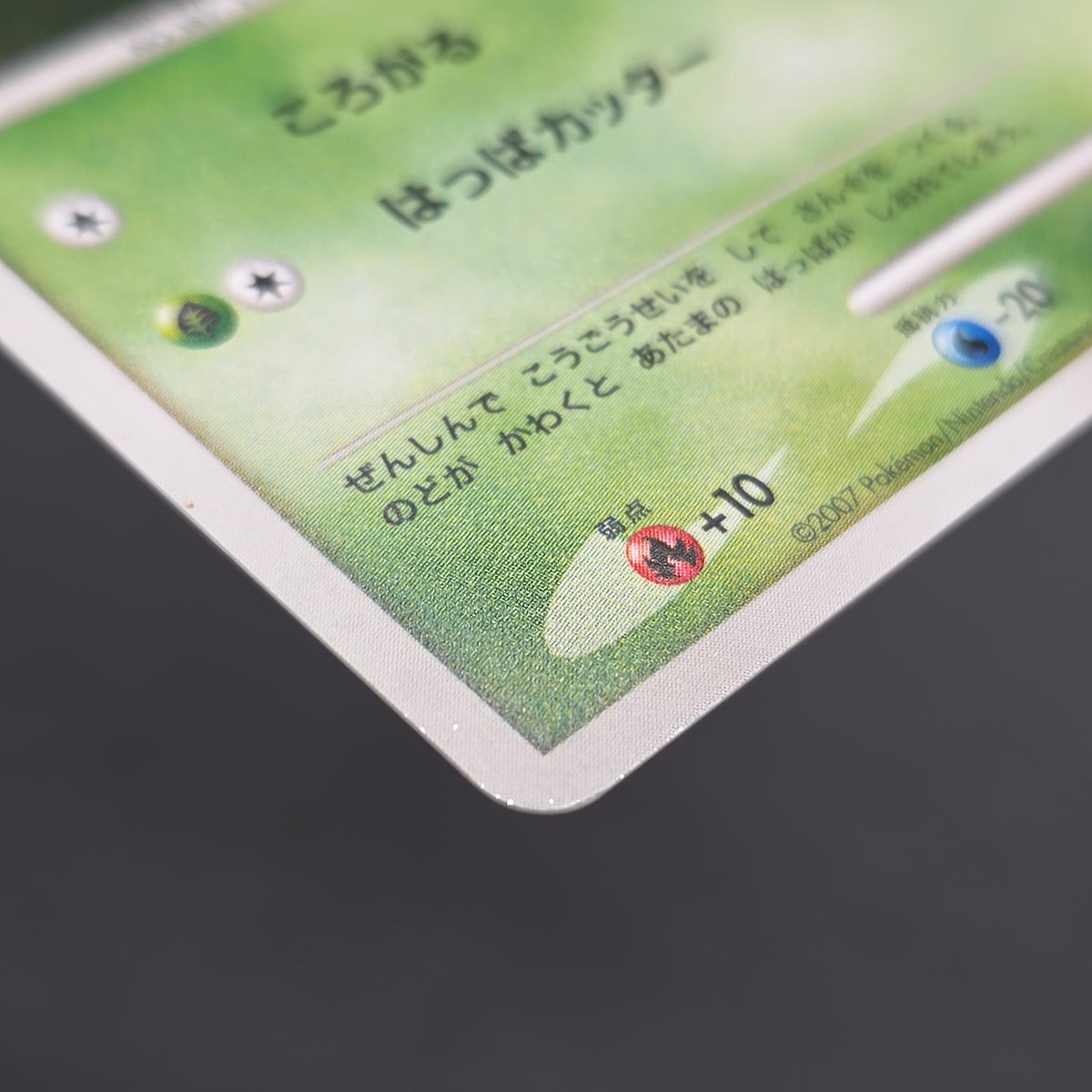 Turtwig 072/DP-P Beginner's Classroom Holo Promo Card