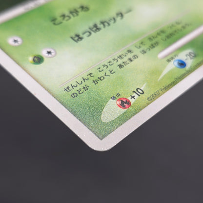 Turtwig 072/DP-P Beginner's Classroom Holo Promo Card