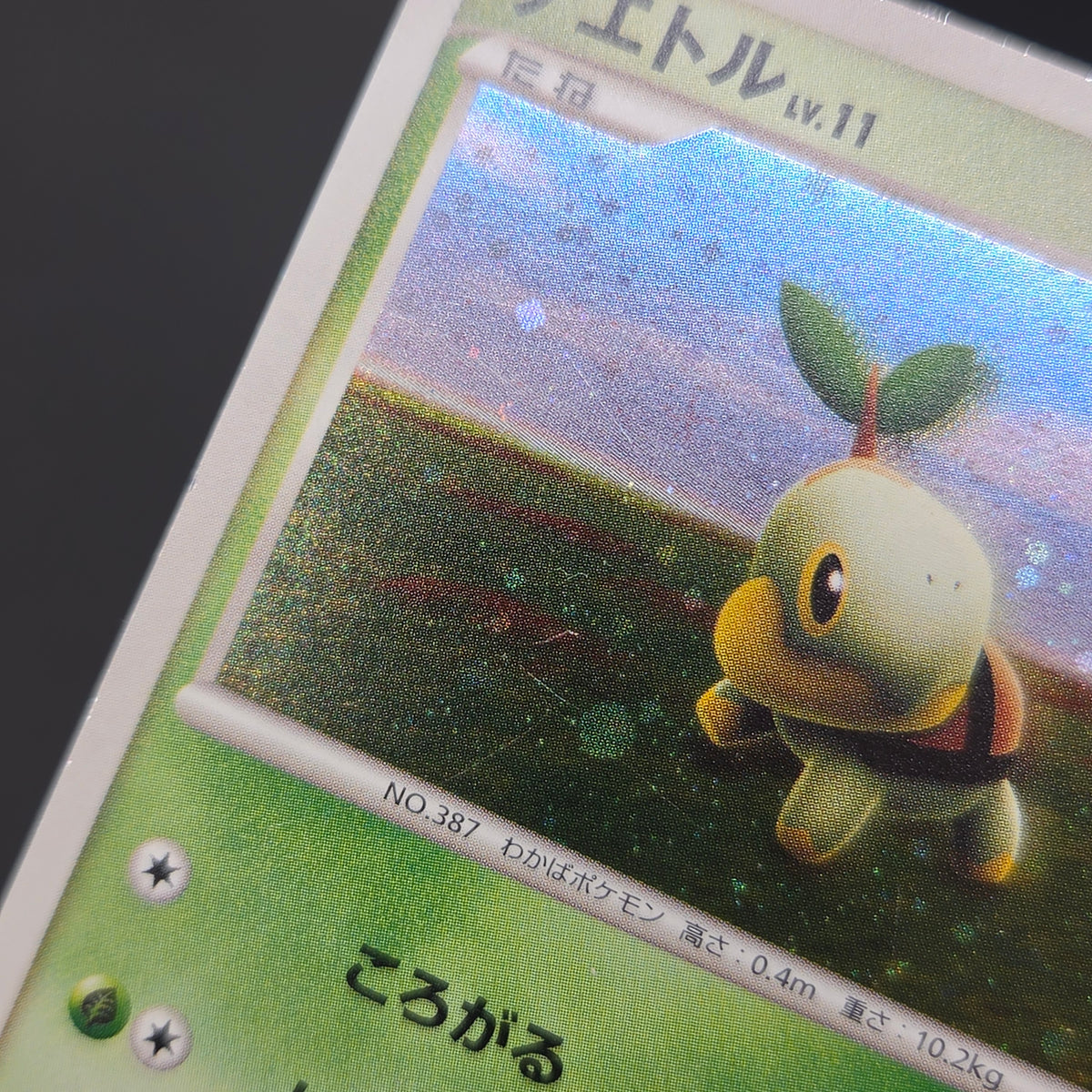 Turtwig 072/DP-P Beginner's Classroom Holo Promo Card