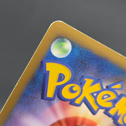 Turtwig 072/DP-P Beginner's Classroom Holo Promo Card