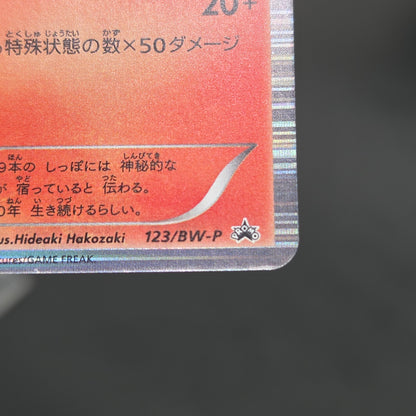 Ninetales 123/BW-P Dragon Blast Dragon Blade Pokemon Card