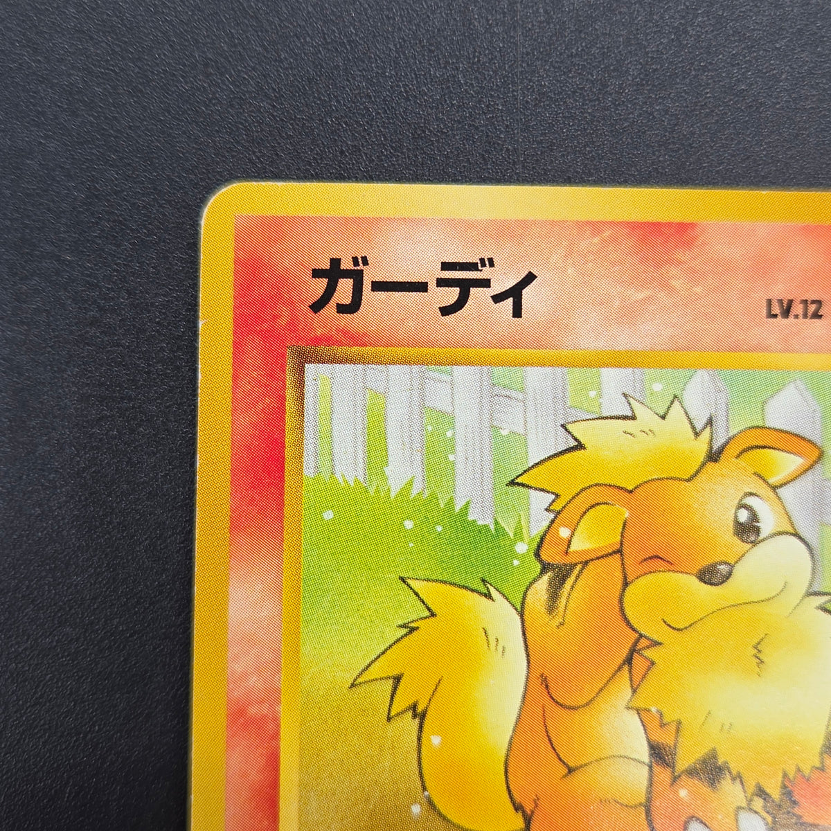 Growlithe 058 Intro Pack Squirtle Japanese Pokemon Card