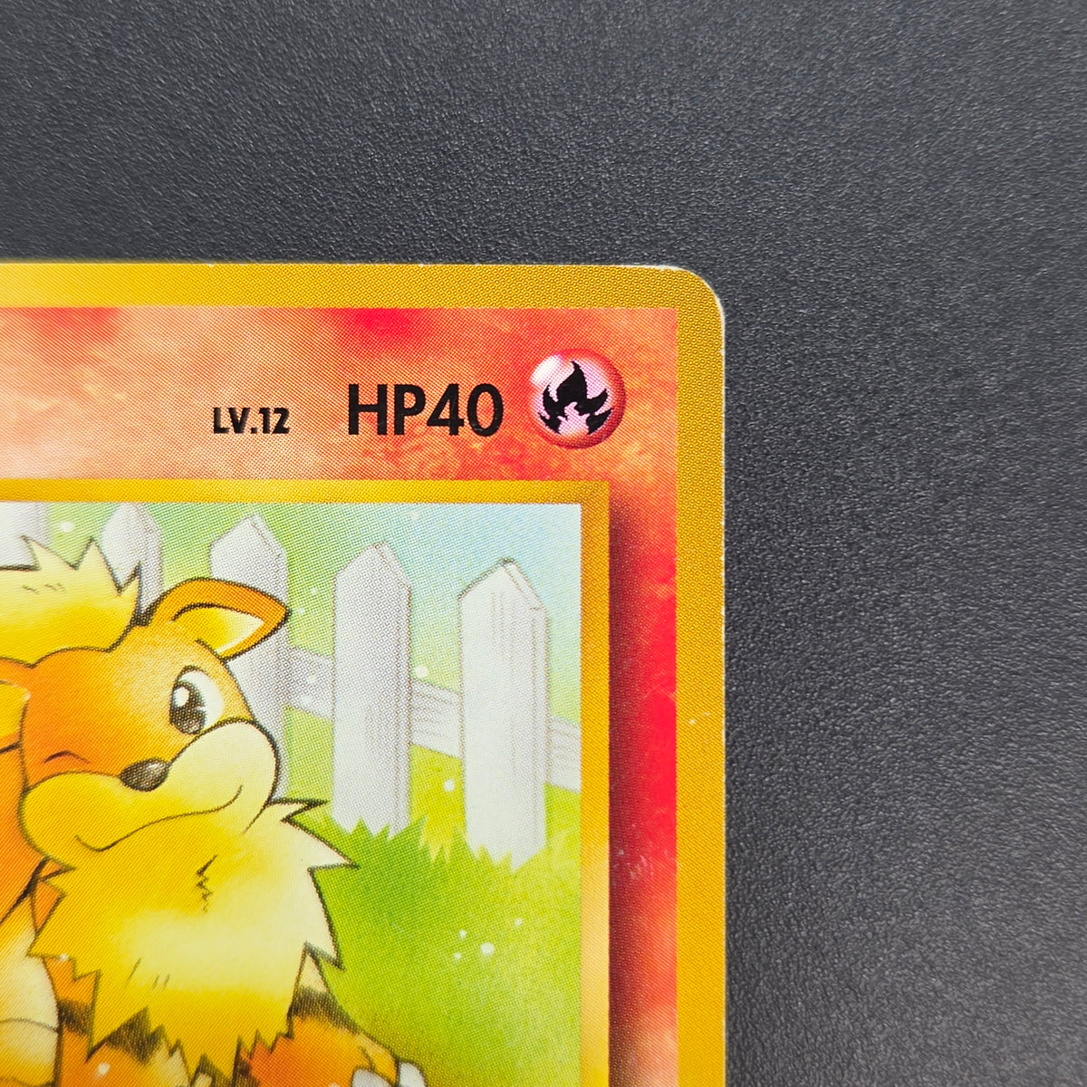 Growlithe 058 Intro Pack Squirtle Japanese Pokemon Card