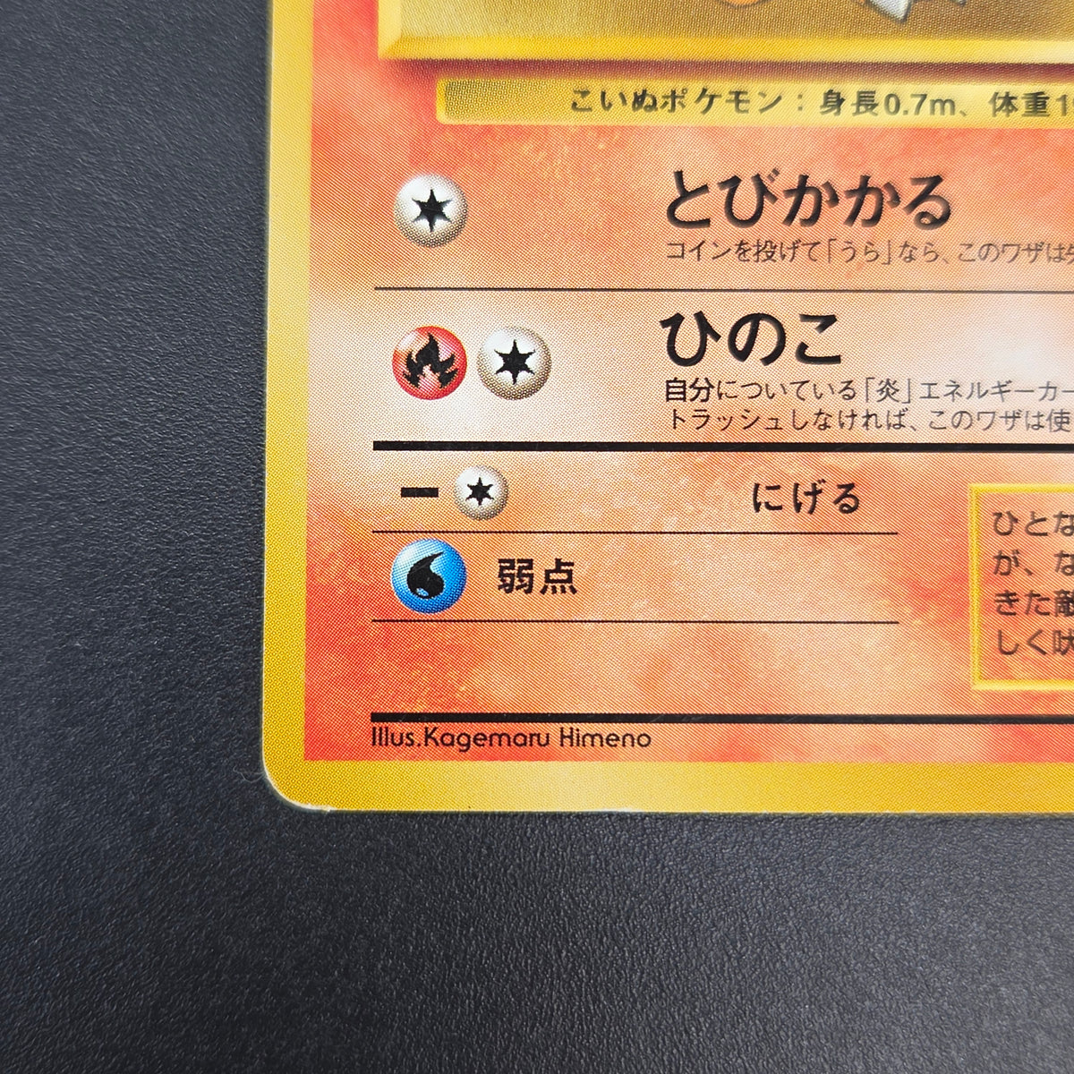 Growlithe 058 Intro Pack Squirtle Japanese Pokemon Card