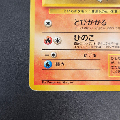 Growlithe 058 Intro Pack Squirtle Japanese Pokemon Card