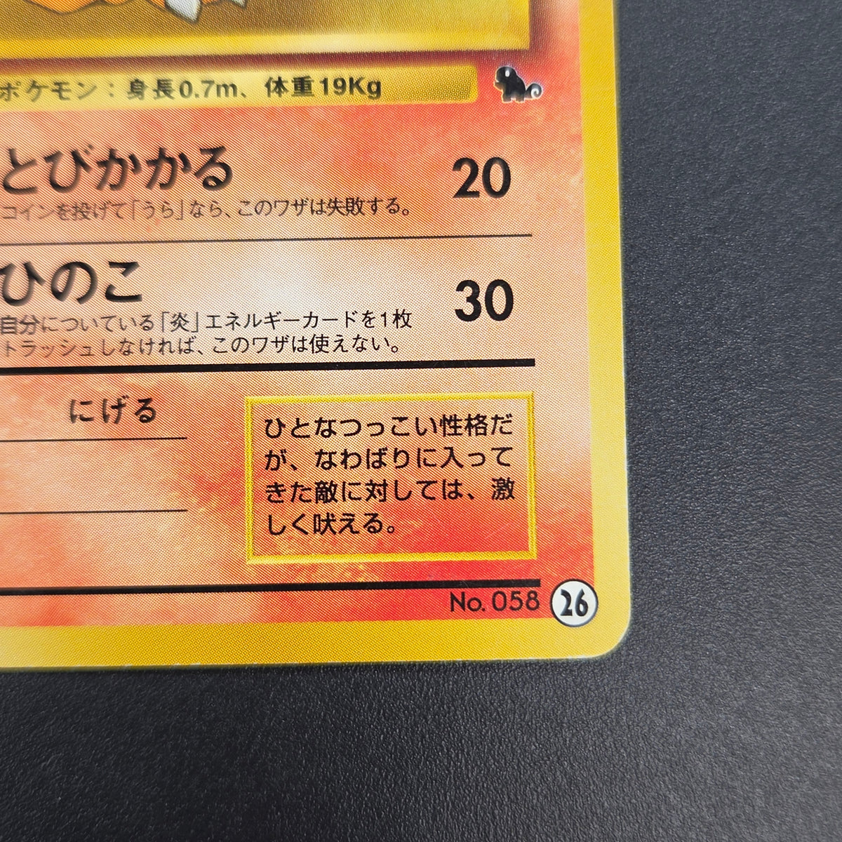 Growlithe 058 Intro Pack Squirtle Japanese Pokemon Card