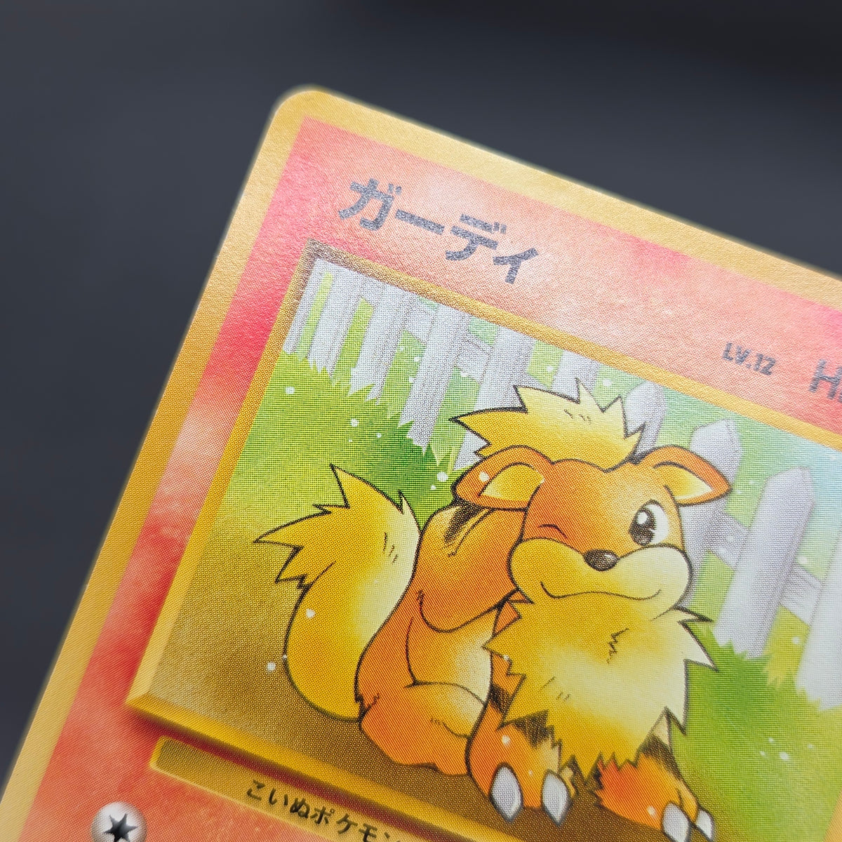 Growlithe 058 Intro Pack Squirtle Japanese Pokemon Card