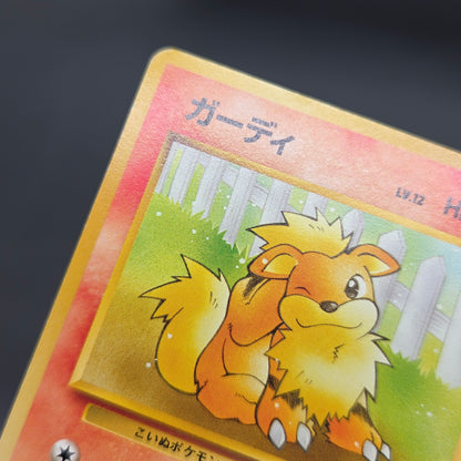 Growlithe 058 Intro Pack Squirtle Japanese Pokemon Card