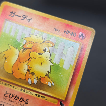 Growlithe 058 Intro Pack Squirtle Japanese Pokemon Card