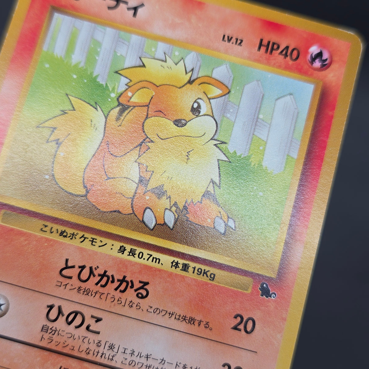 Growlithe 058 Intro Pack Squirtle Japanese Pokemon Card