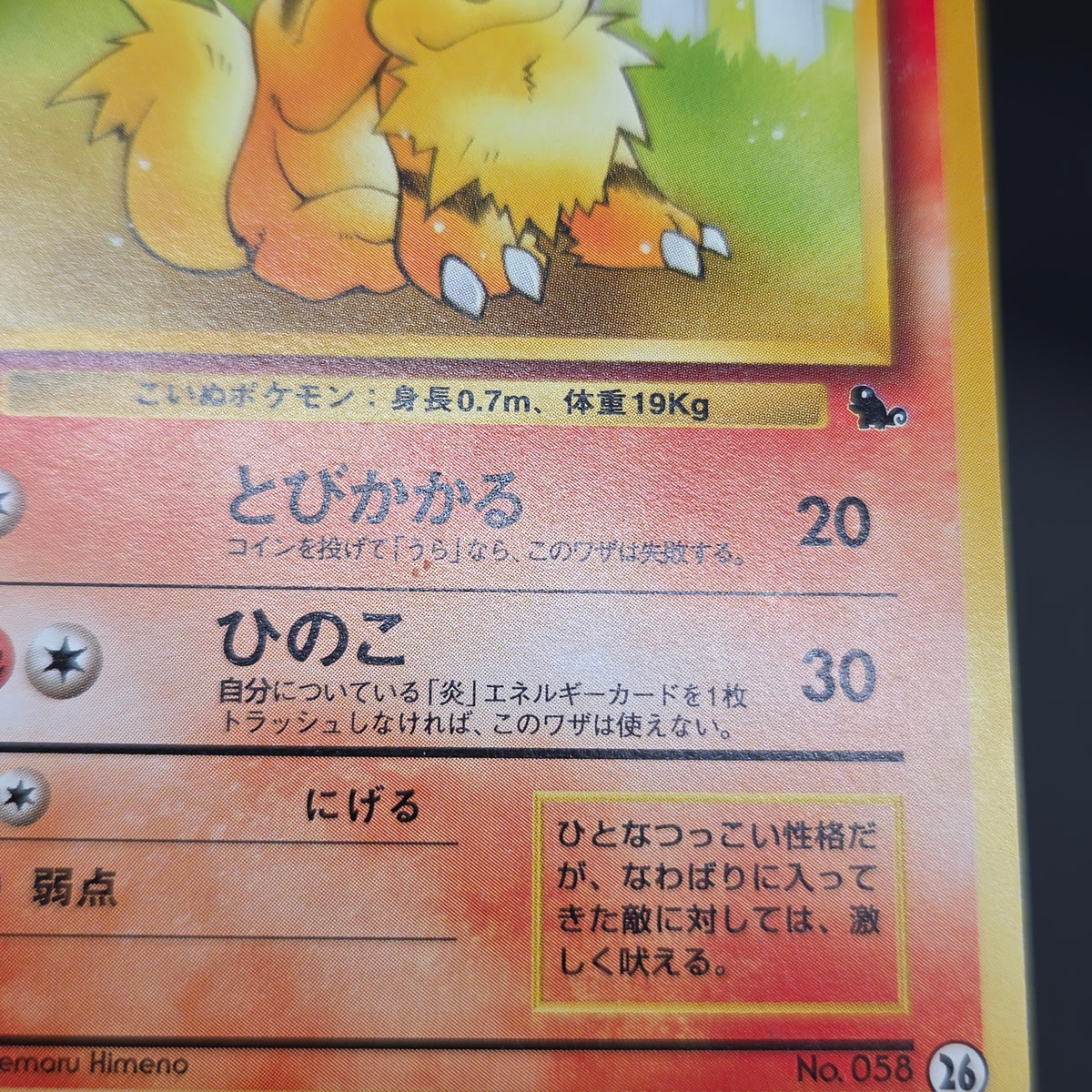 Growlithe 058 Intro Pack Squirtle Japanese Pokemon Card