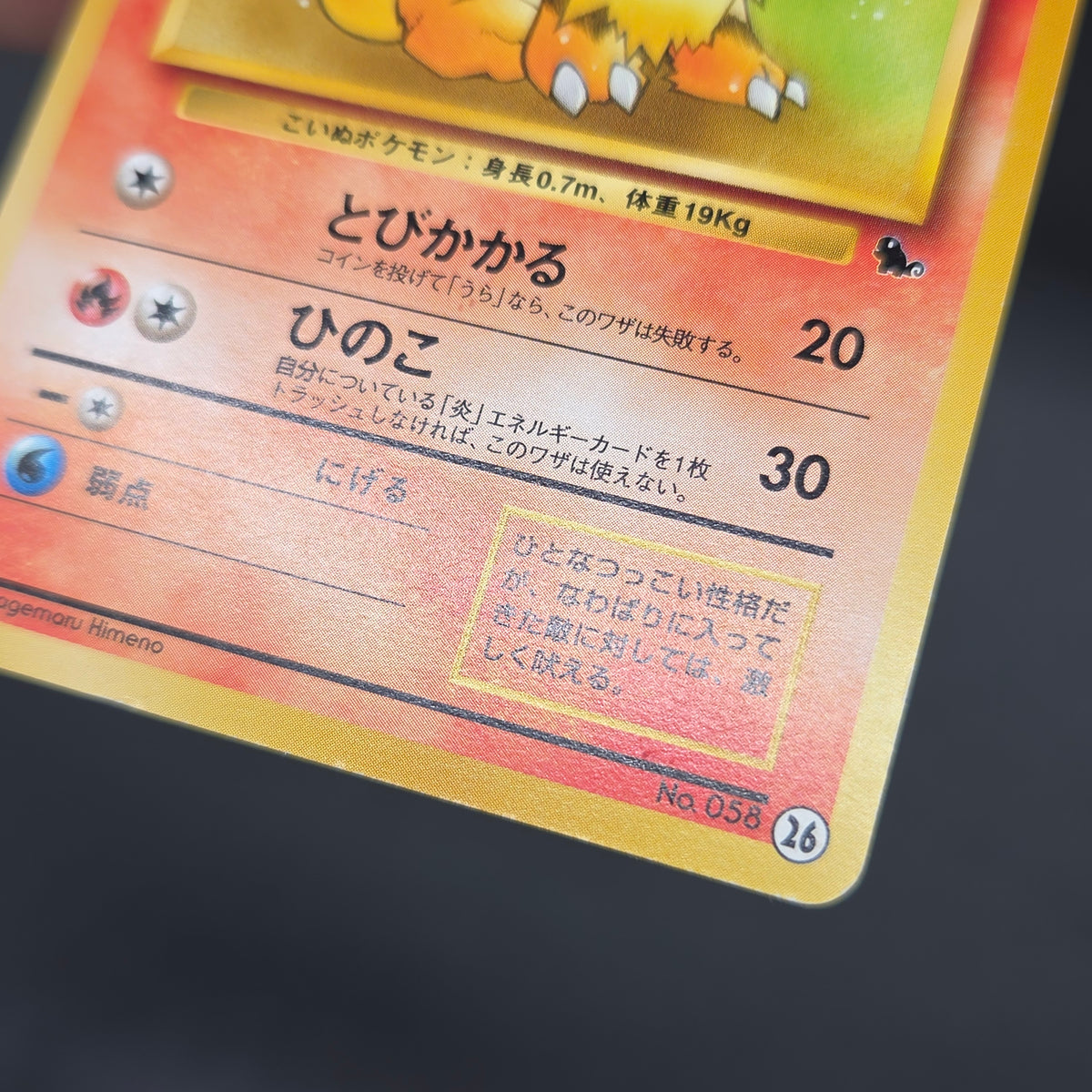Growlithe 058 Intro Pack Squirtle Japanese Pokemon Card