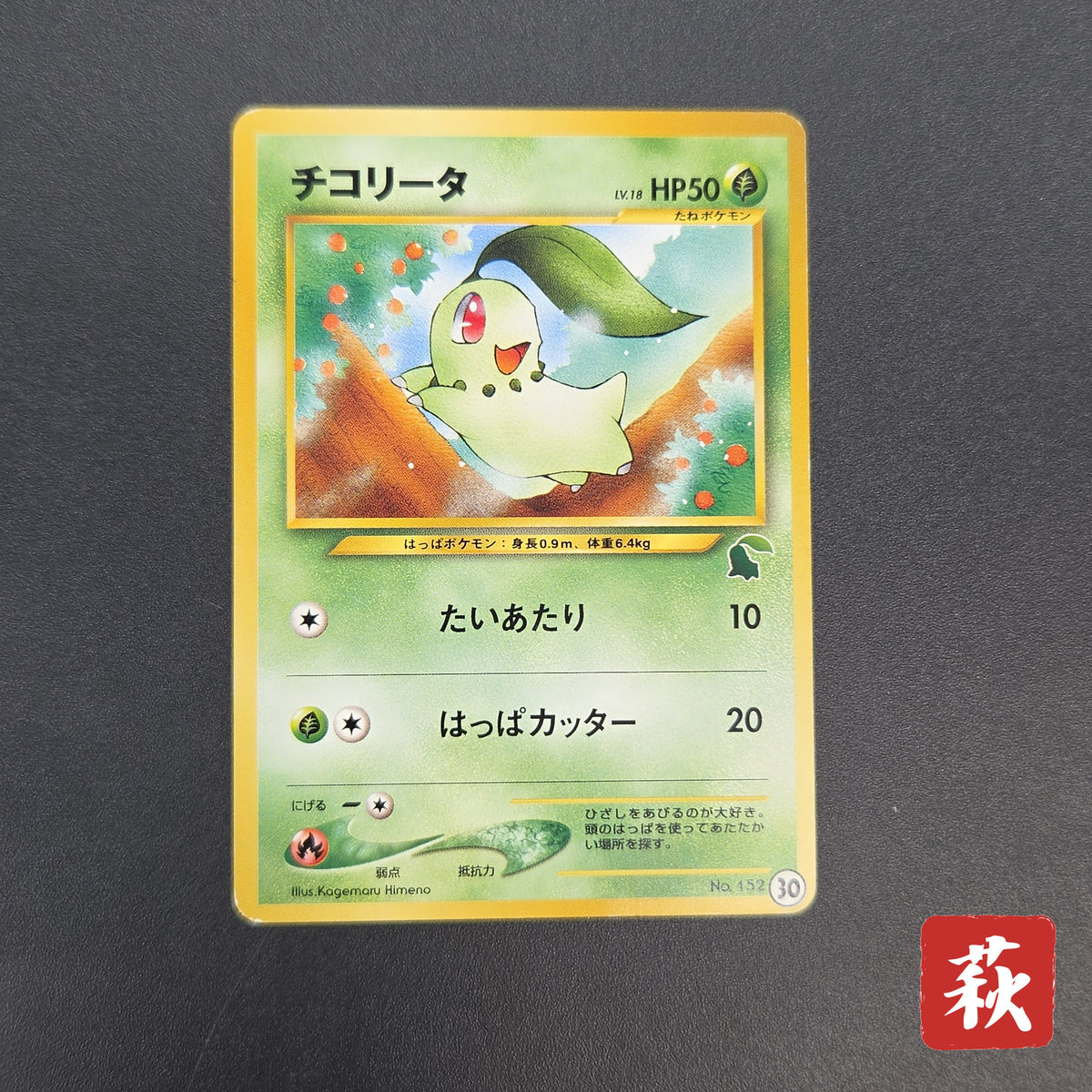 Chikorita No. 152 Intro Pack Promo Half Deck Pokémon Card