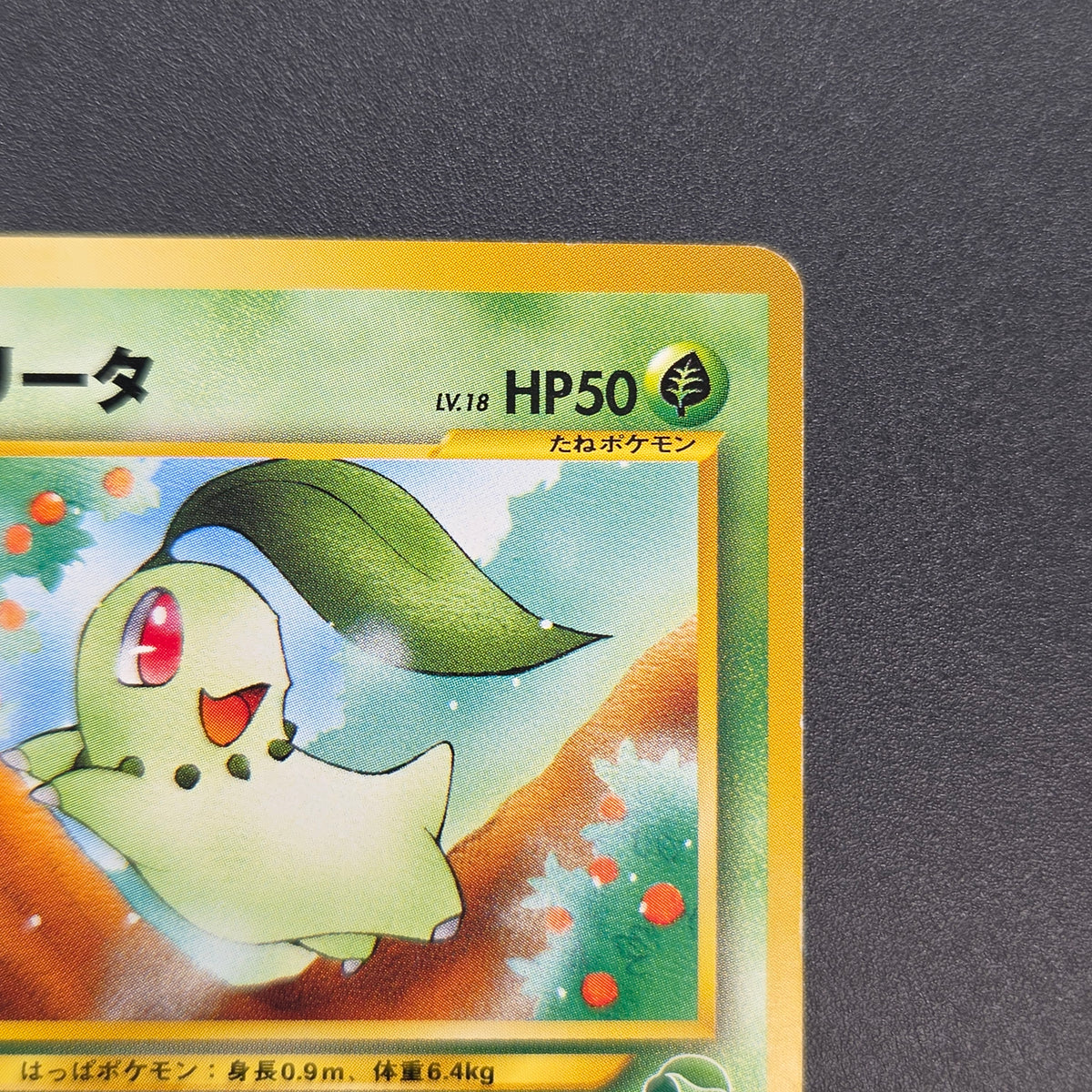 Chikorita No. 152 Intro Pack Promo Half Deck Pokémon Card