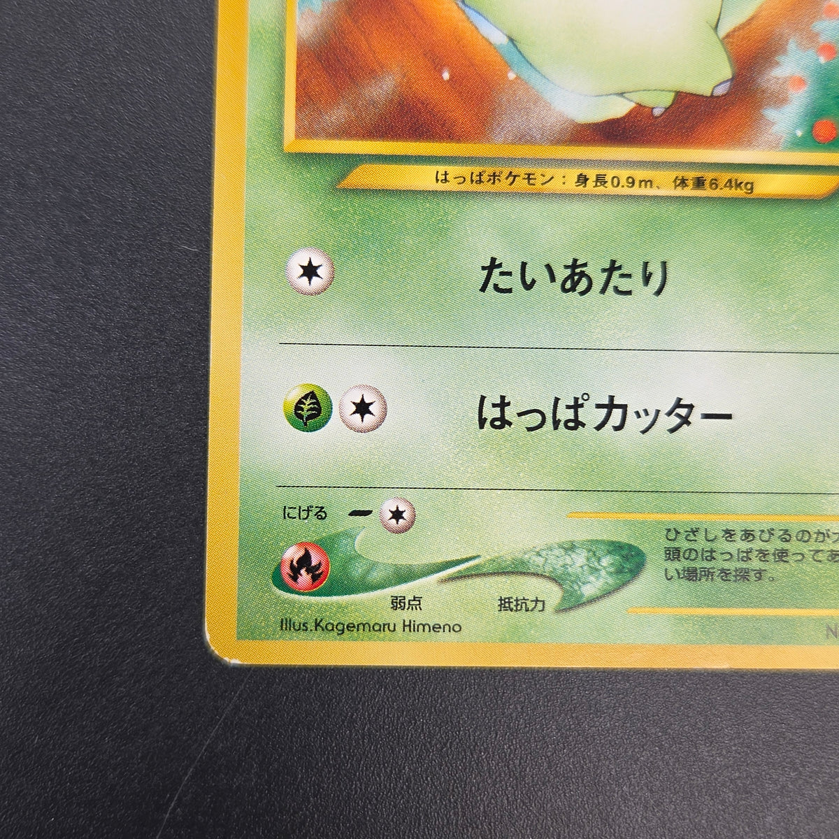 Chikorita No. 152 Intro Pack Promo Half Deck Pokémon Card