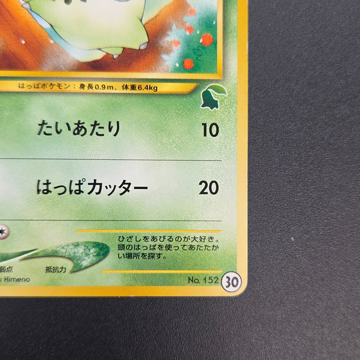 Chikorita No. 152 Intro Pack Promo Half Deck Pokémon Card