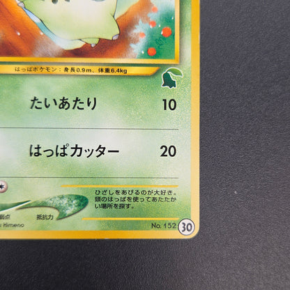 Chikorita No. 152 Intro Pack Promo Half Deck Pokémon Card