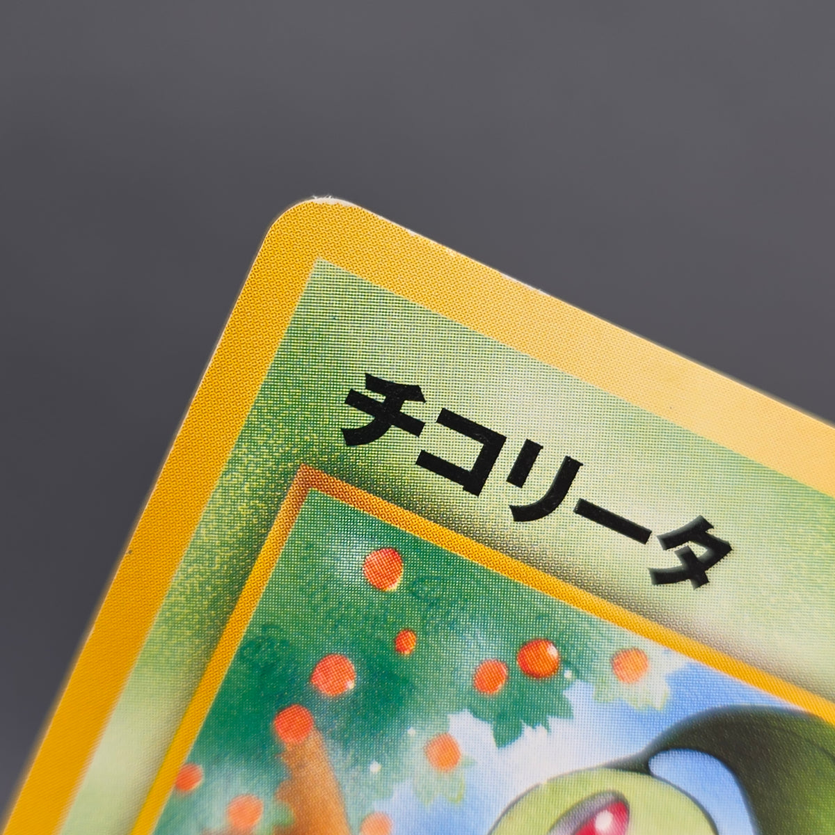 Chikorita No. 152 Intro Pack Promo Half Deck Pokémon Card