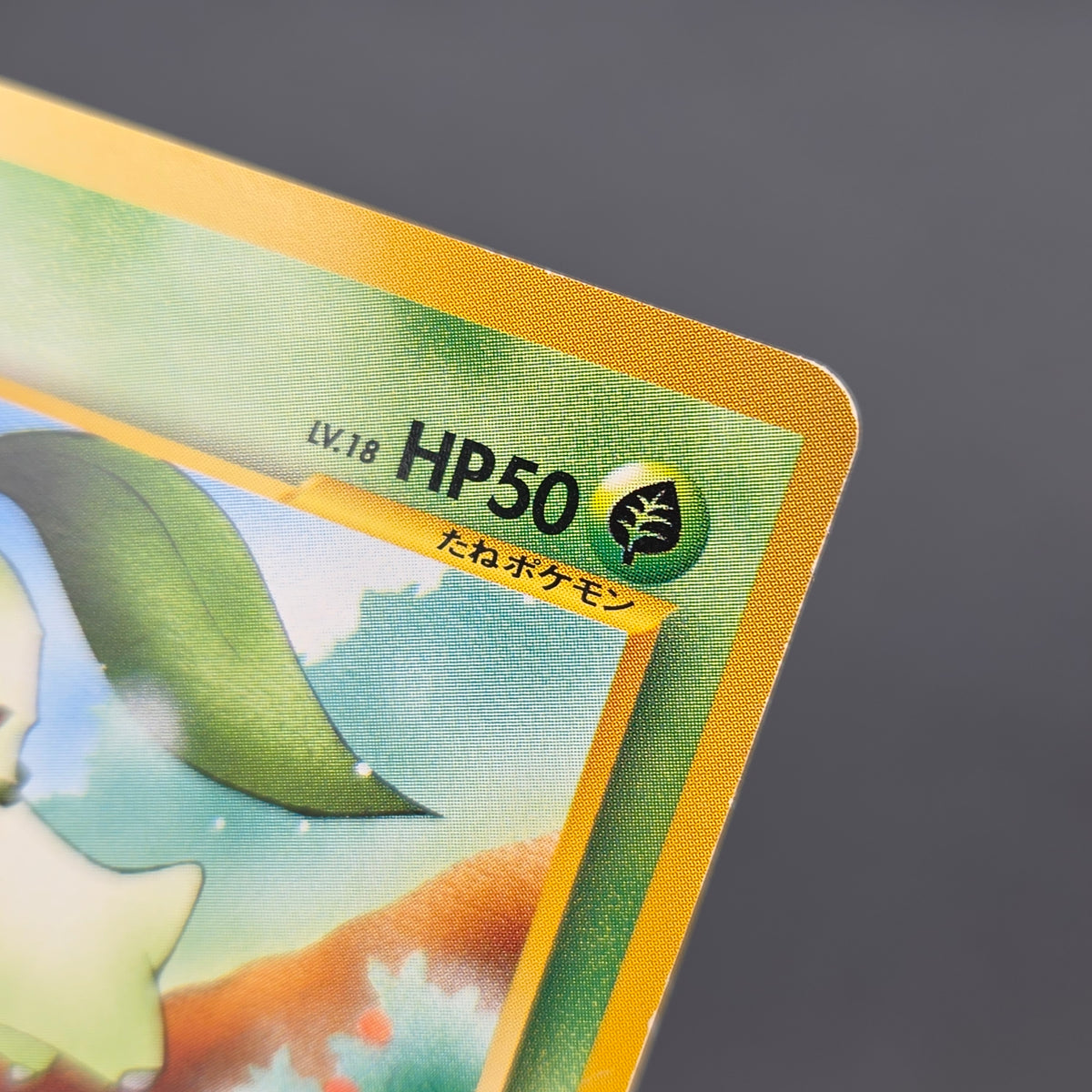 Chikorita No. 152 Intro Pack Promo Half Deck Pokémon Card