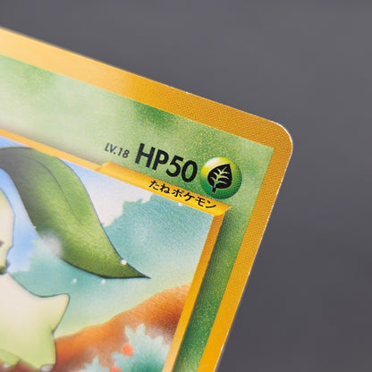 Chikorita No. 152 Intro Pack Promo Half Deck Pokémon Card