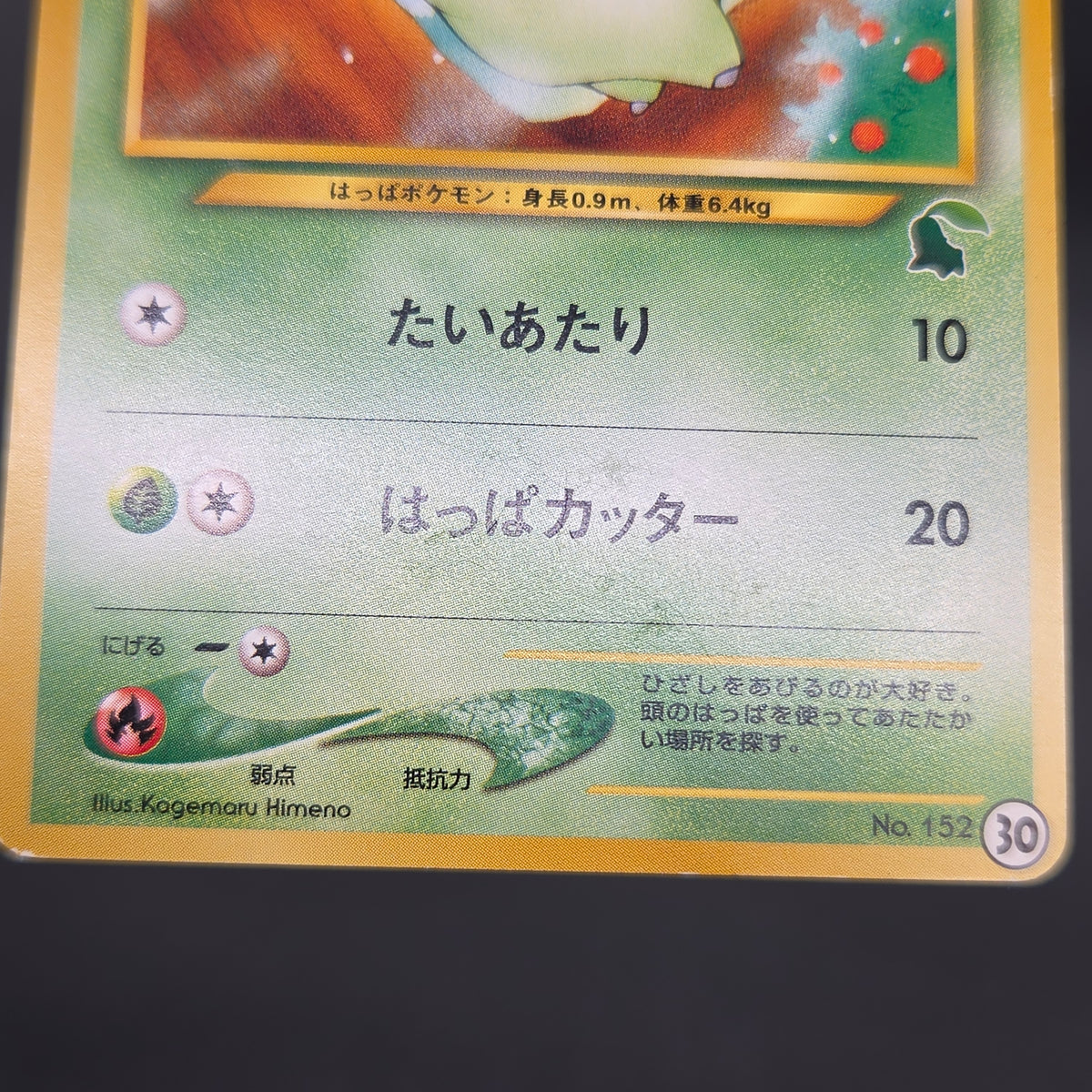Chikorita No. 152 Intro Pack Promo Half Deck Pokémon Card
