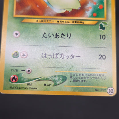 Chikorita No. 152 Intro Pack Promo Half Deck Pokémon Card