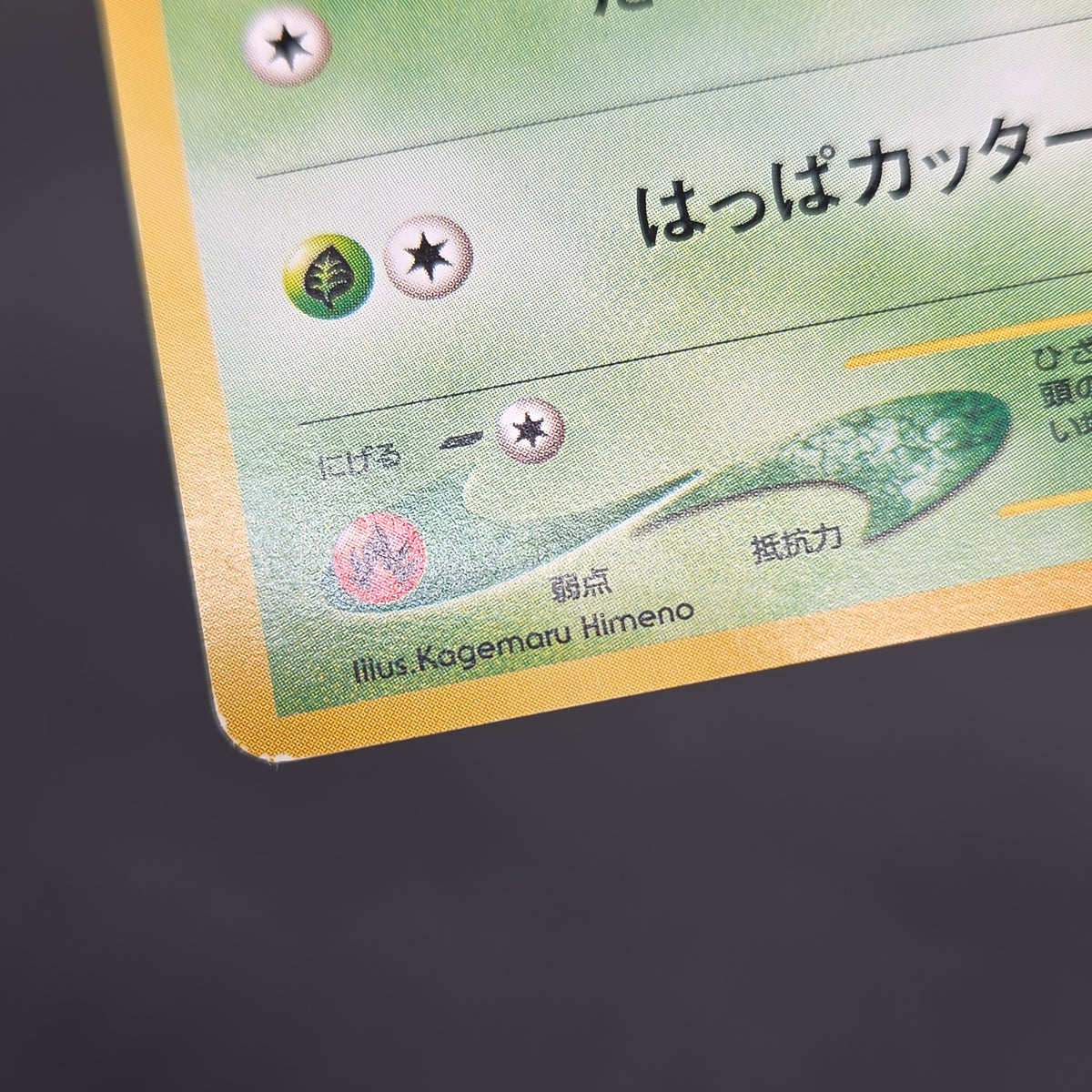 Chikorita No. 152 Intro Pack Promo Half Deck Pokémon Card