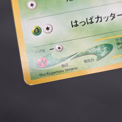 Chikorita No. 152 Intro Pack Promo Half Deck Pokémon Card