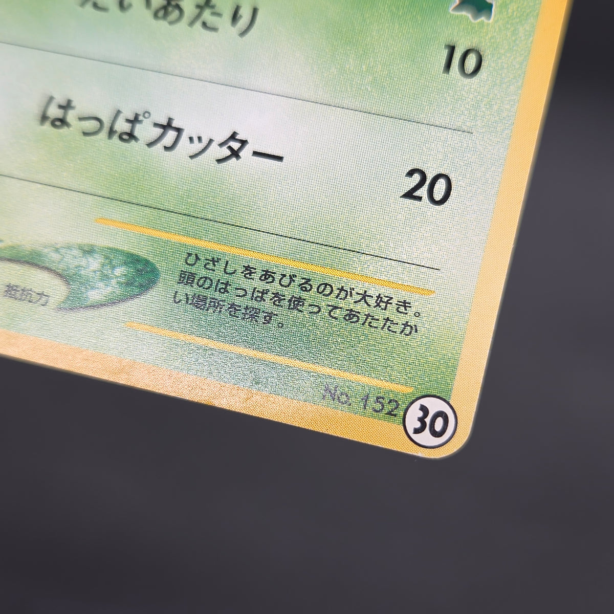 Chikorita No. 152 Intro Pack Promo Half Deck Pokémon Card