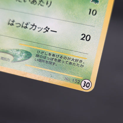 Chikorita No. 152 Intro Pack Promo Half Deck Pokémon Card