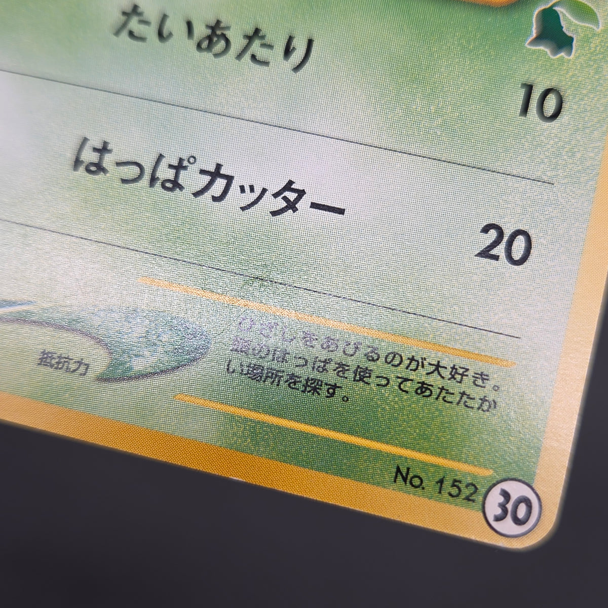 Chikorita No. 152 Intro Pack Promo Half Deck Pokémon Card
