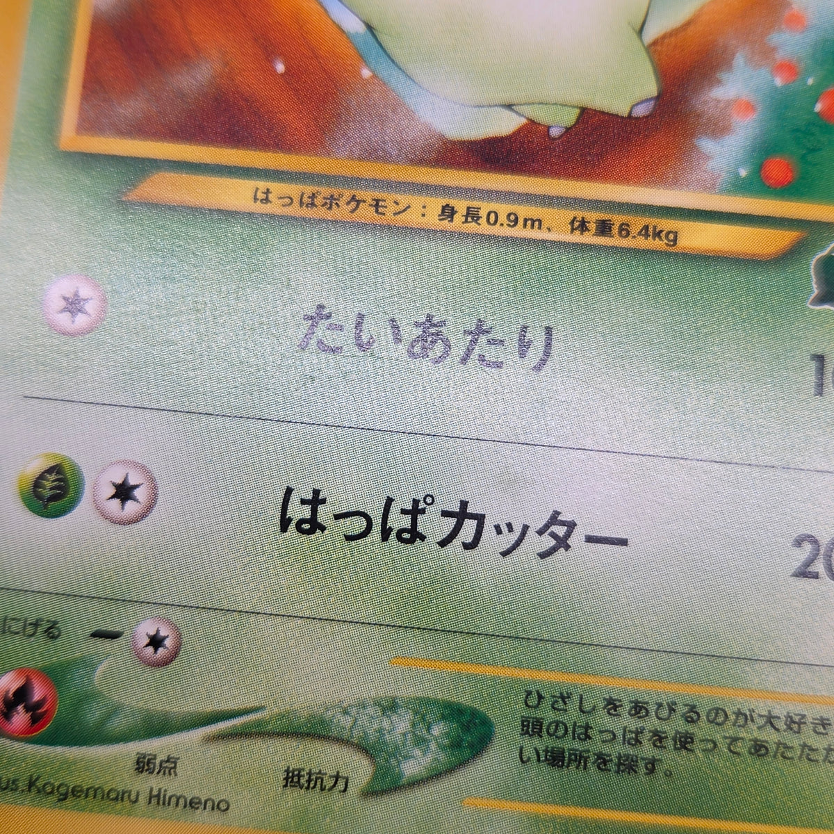 Chikorita No. 152 Intro Pack Promo Half Deck Pokémon Card