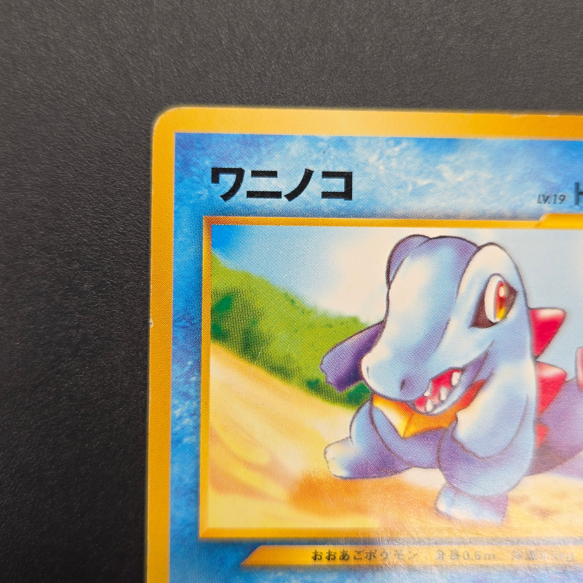 Totodile No. 158 Intro Pack Promo Half Deck Pokémon Card