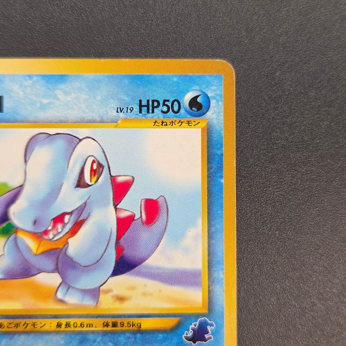 Totodile No. 158 Intro Pack Promo Half Deck Pokémon Card