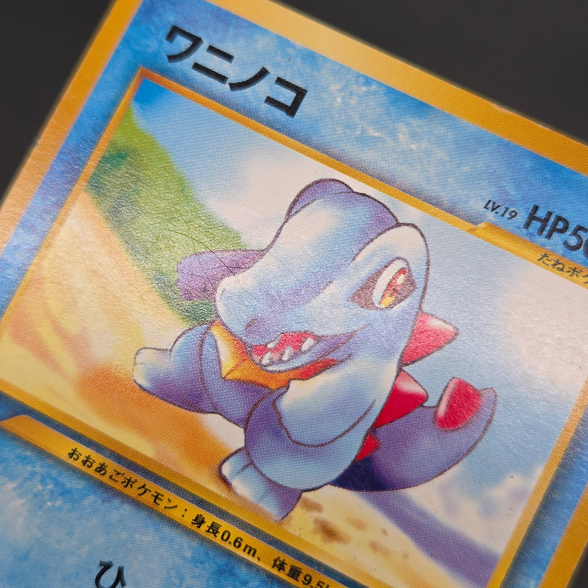 Totodile No. 158 Intro Pack Promo Half Deck Pokémon Card