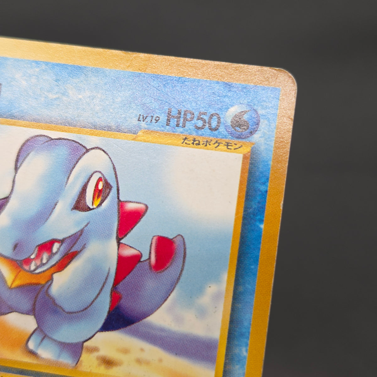 Totodile No. 158 Intro Pack Promo Half Deck Pokémon Card