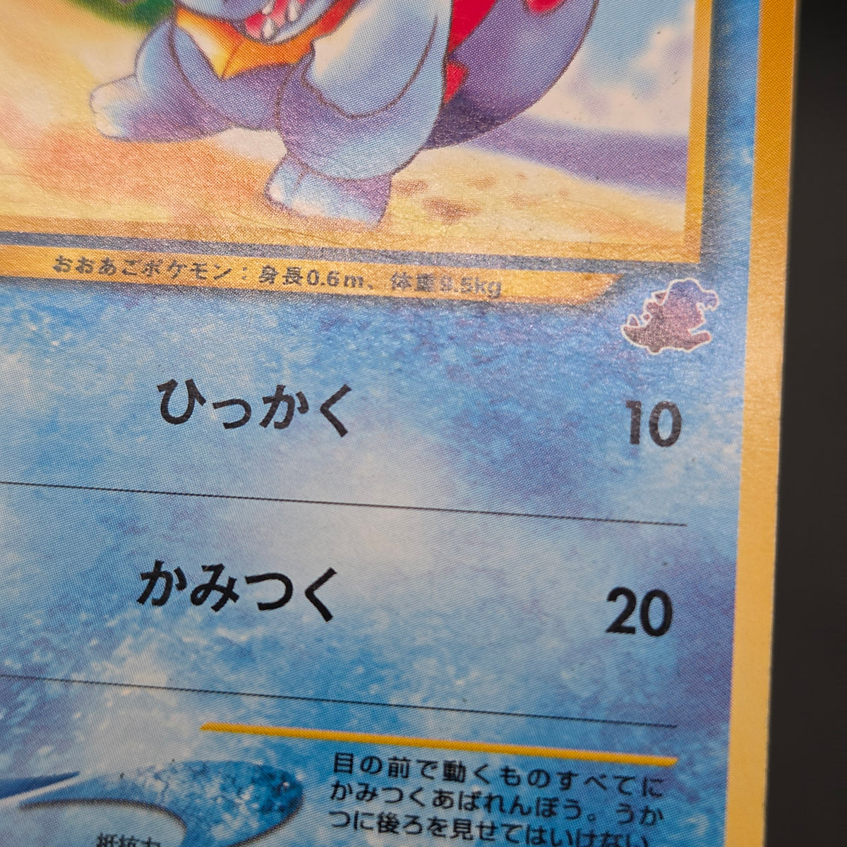 Totodile No. 158 Intro Pack Promo Half Deck Pokémon Card