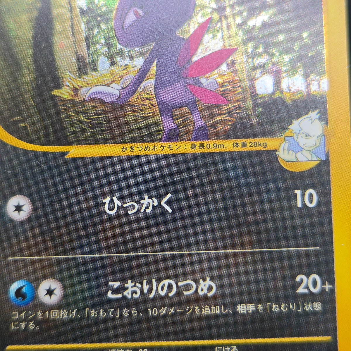 Pryce's Sneasel 043/141 VS Series Japanese Pokemon Card