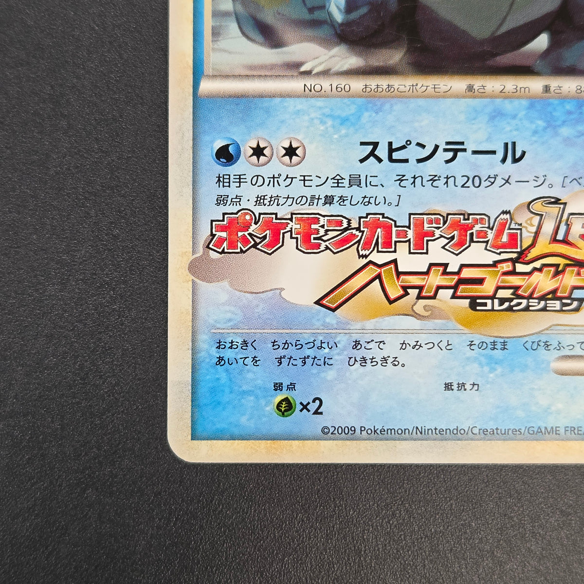 Feraligatr 002/L-P HeartGold SoulSilver Promo Pokémon Card