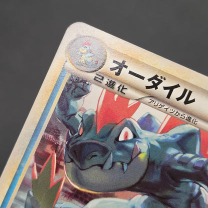 Feraligatr 002/L-P HeartGold SoulSilver Promo Pokémon Card