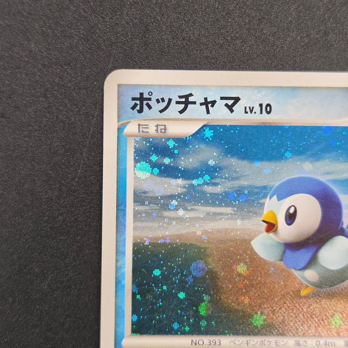 Piplup 074/DP-P Beginner's Classroom Promo Pokemon Card