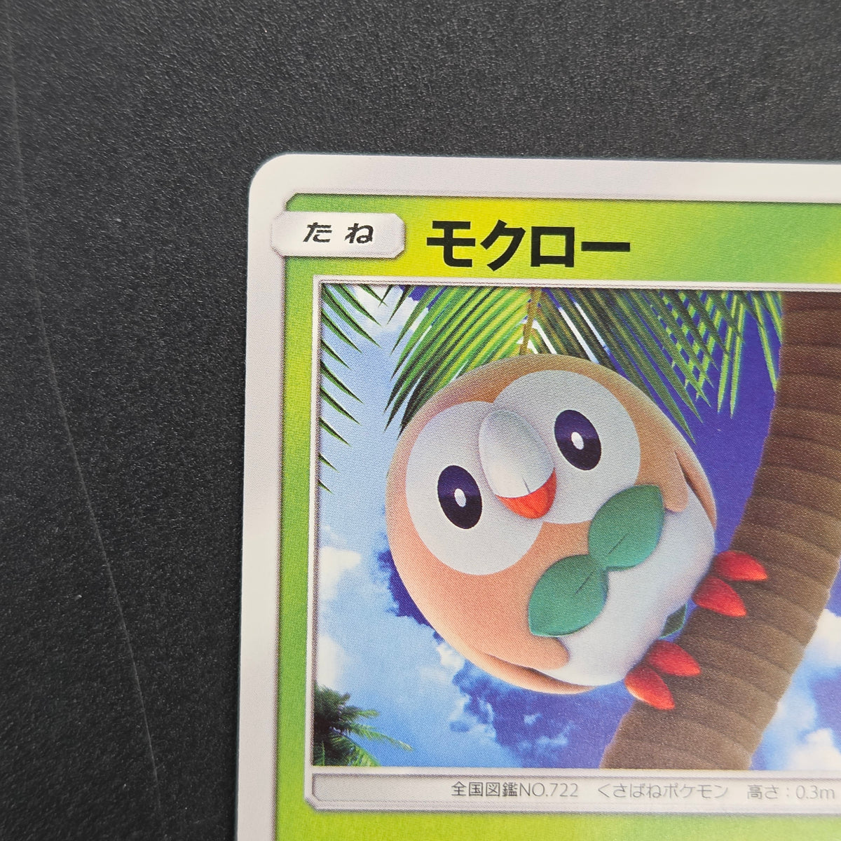 Rowlet 169/SM-P Promo Toys Kingdom promotion Pokemon Card