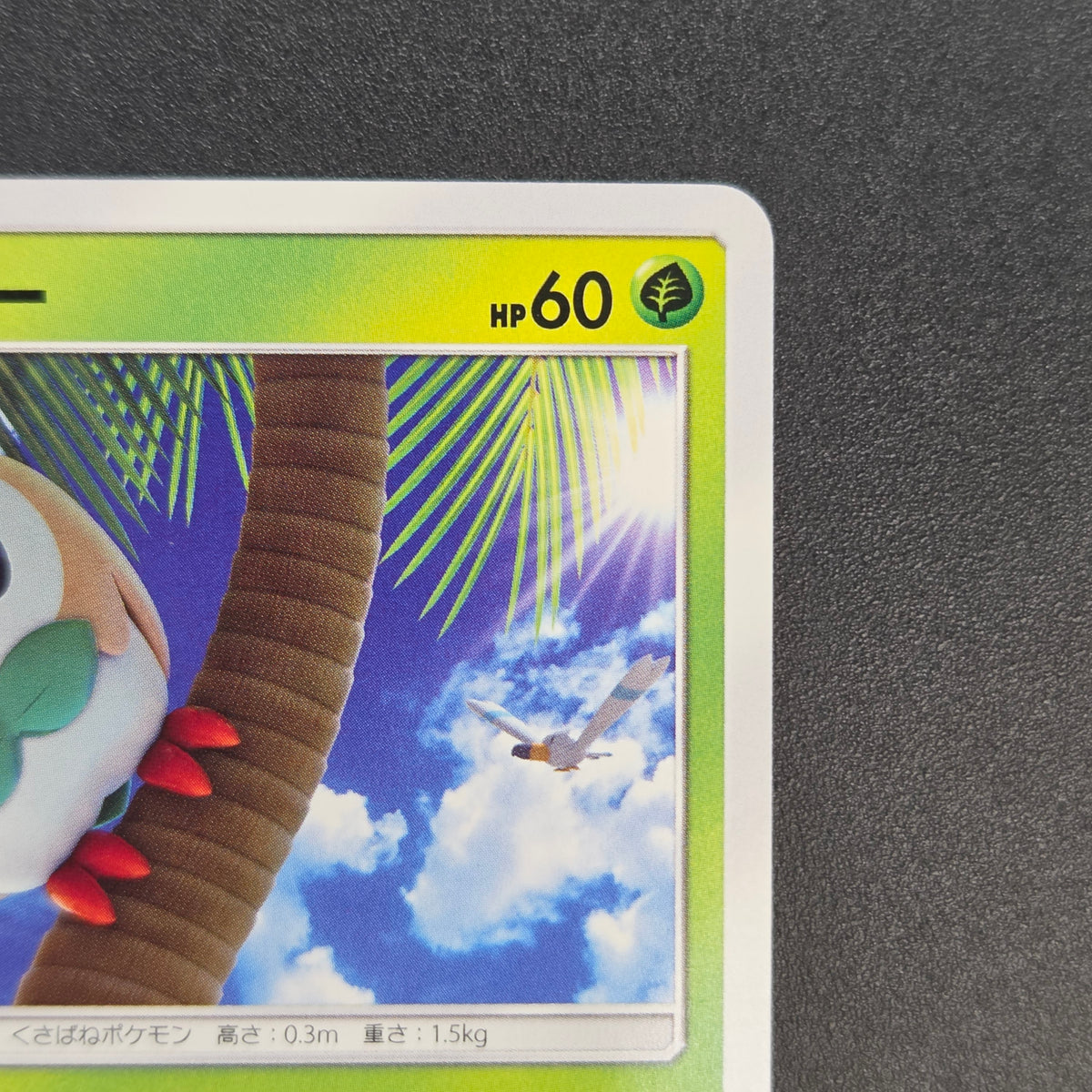 Rowlet 169/SM-P Promo Toys Kingdom promotion Pokemon Card