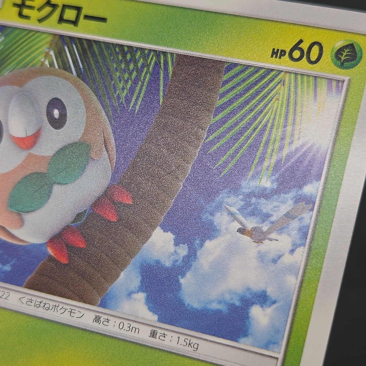 Rowlet 169/SM-P Promo Toys Kingdom promotion Pokemon Card