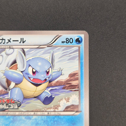 Wartortle 166/BW-P Promos Gym Challenge pack Pokemon Card